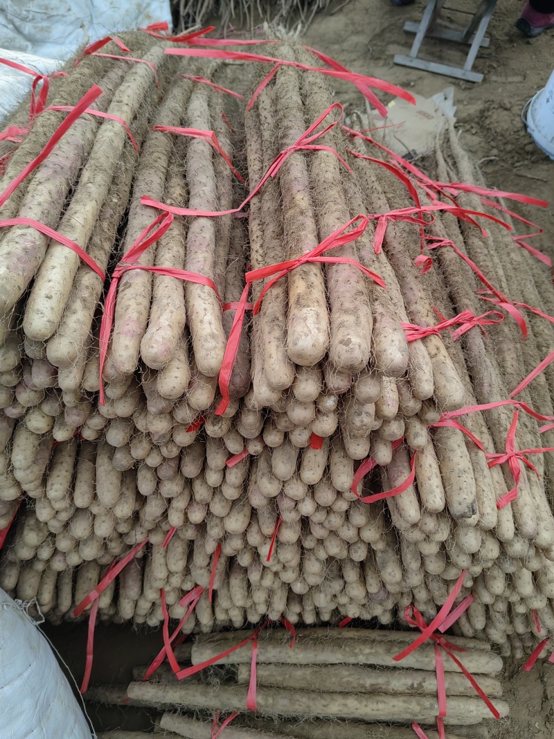 临漳大铁棍大量有货