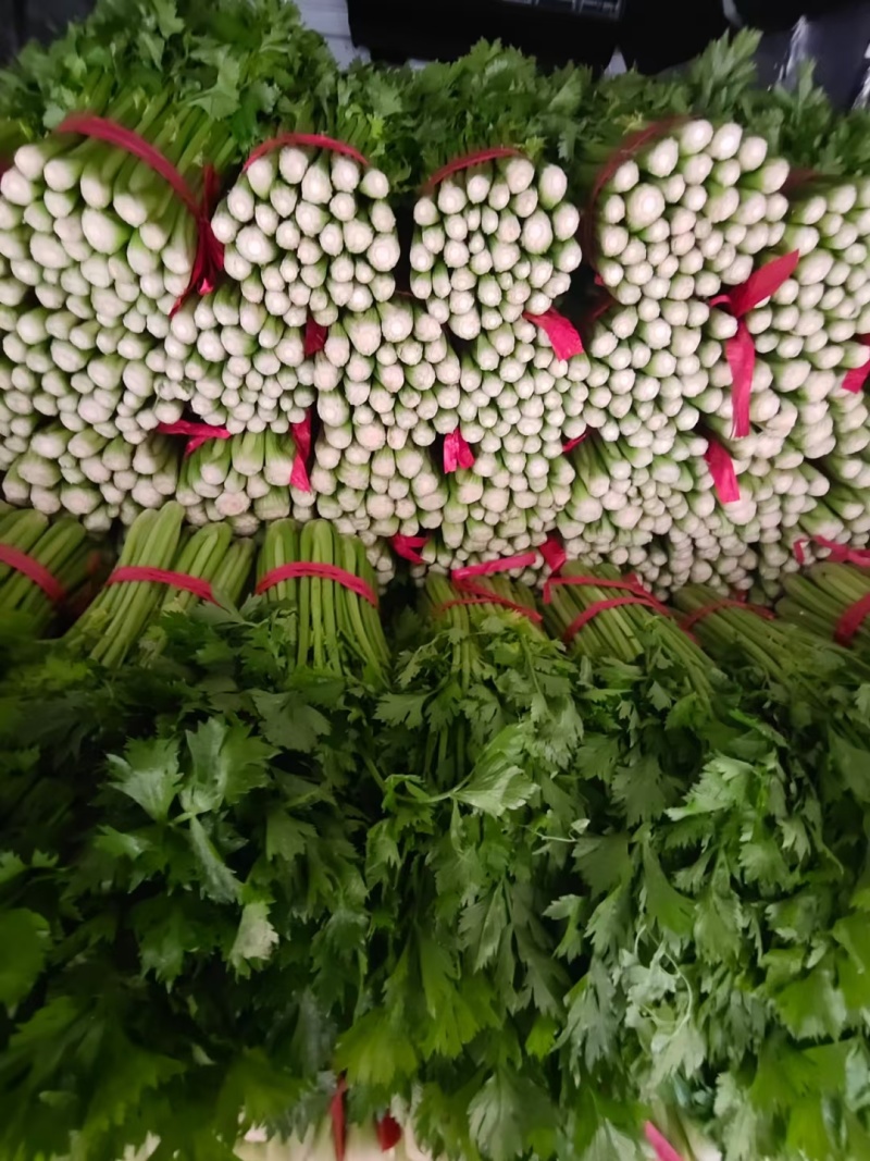 西芹河北皇妃芹菜商超电商配货品种齐全净菜加工代发