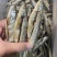 鱼干油炸小鱼干无盐鱼干刁子鱼白条鱼餐条鱼干