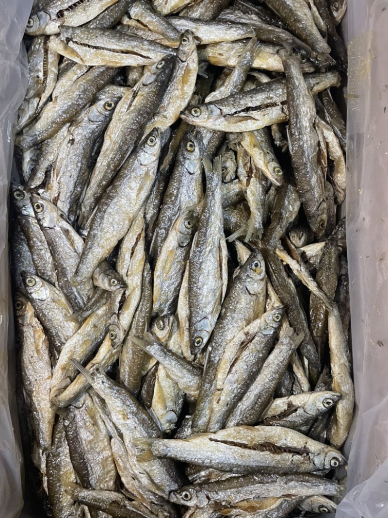 鱼干油炸小鱼干无盐鱼干刁子鱼白条鱼餐条鱼干