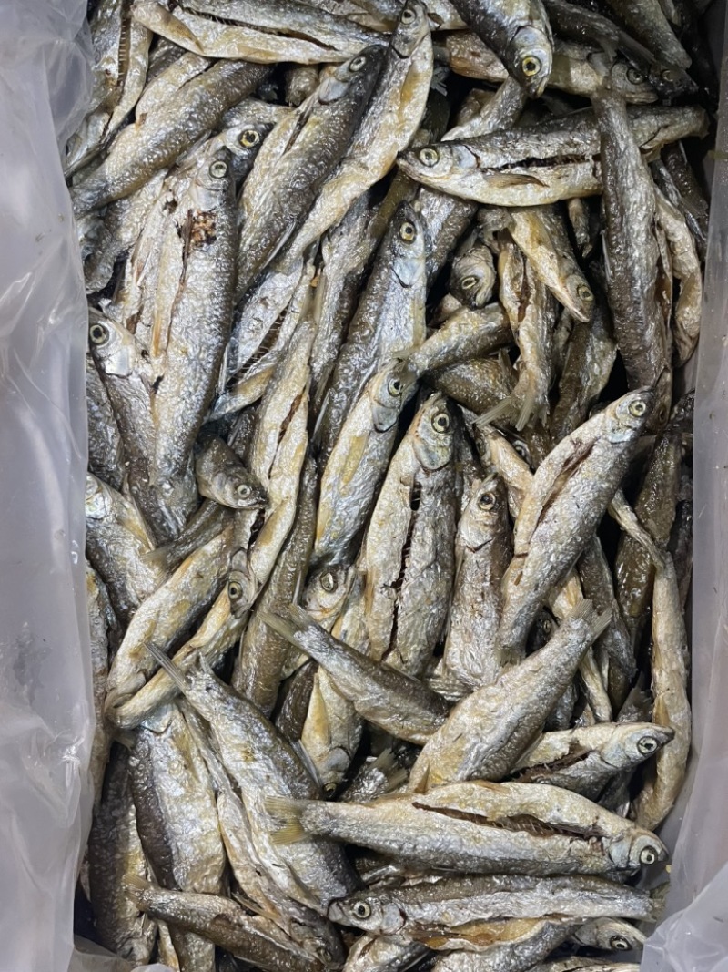 鱼干油炸小鱼干无盐鱼干刁子鱼白条鱼餐条鱼干
