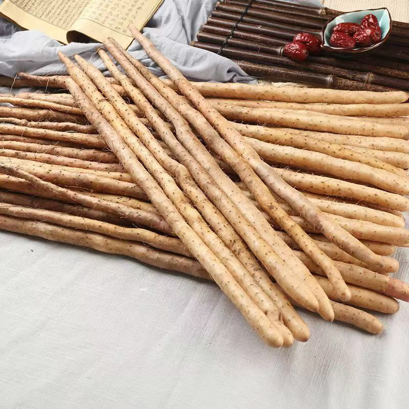 小白嘴山药电商专用网包装对接全国客商河北安平产地直发山药