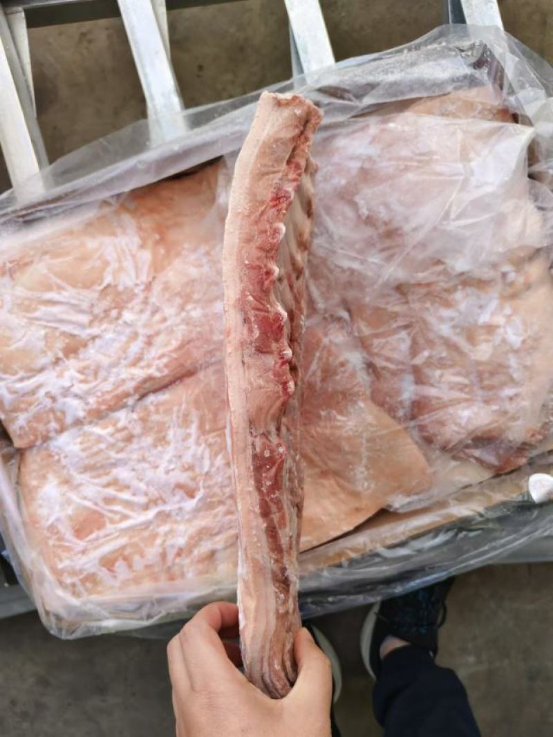 带皮带肋中方