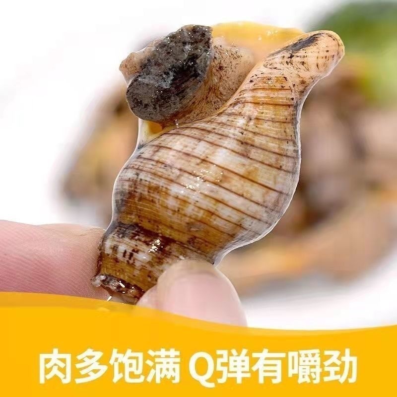 亲嘴螺捞汁入味，颗颗精选。鲜味入髓，久久难舍！