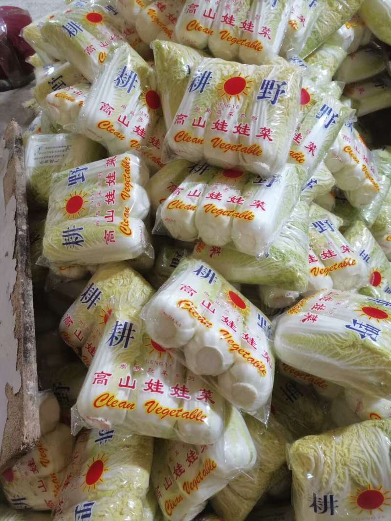 娃娃菜黄心娃娃菜大娃娃菜商超配货按需加工长期合作