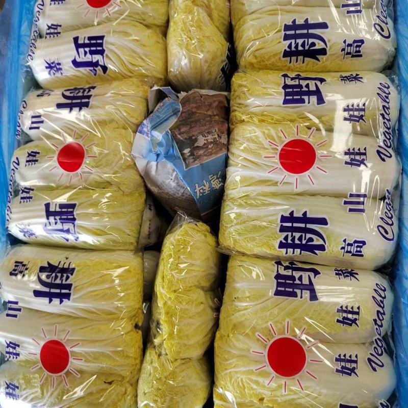 娃娃菜黄心娃娃菜大娃娃菜商超配货按需加工长期合作
