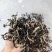 木耳丝毛木耳毛木耳丝黑木耳产地直发！全国包邮！
