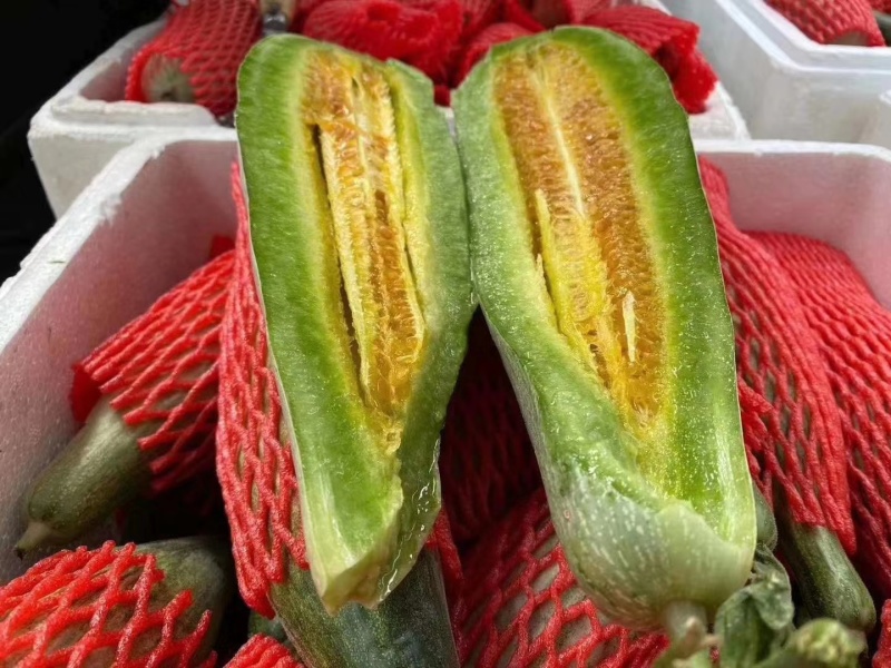 羊角蜜甜瓜口感脆甜产量高抗病能力强早熟嫁接苗直播苗