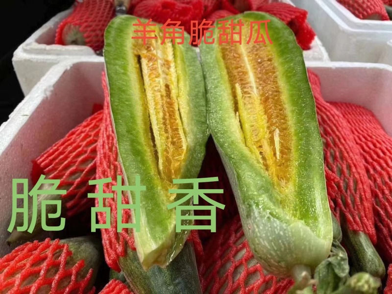 羊角蜜甜瓜口感脆甜产量高抗病能力强早熟嫁接苗直播苗