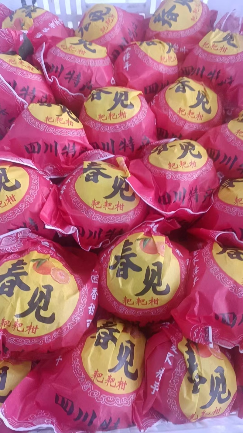 四川春见耙耙柑，现摘皮薄汁多产地直发一手货源