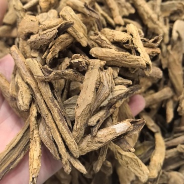 地骨皮水洗货干净没有杂质规格很多欢迎来电咨询
