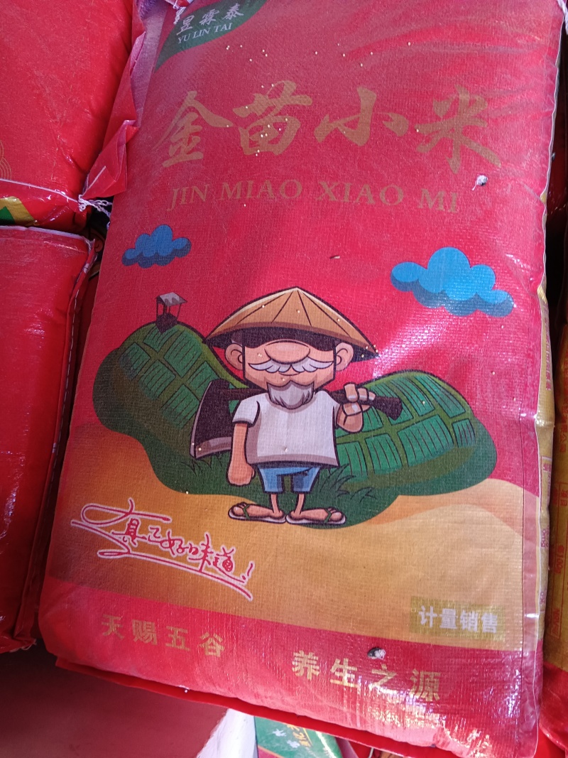 河北金苗小米