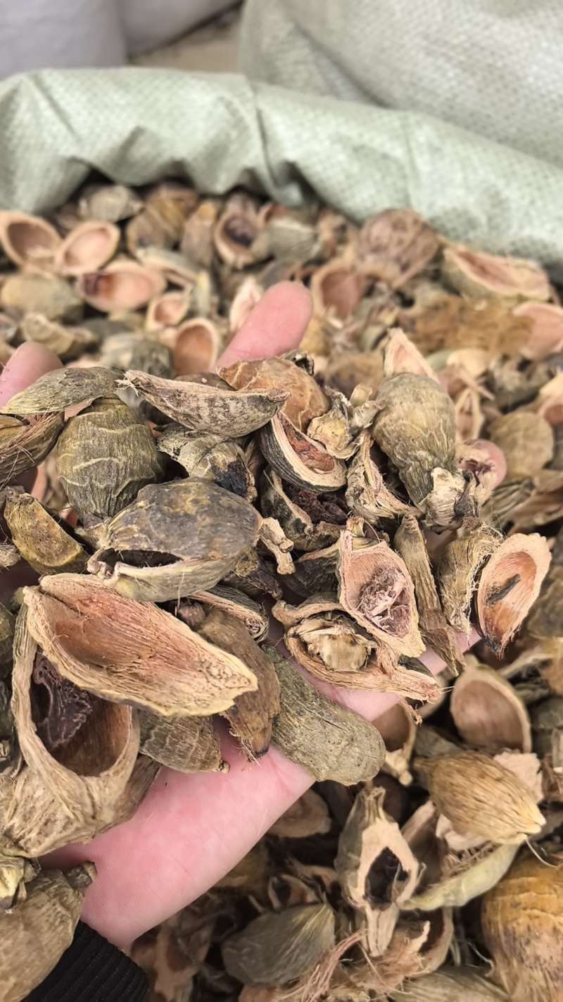 大腹皮选装货槟榔皮干新货大腹毛茯毛规格很多价格不同