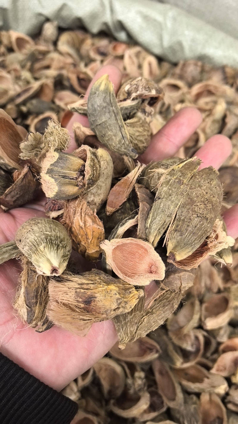 大腹皮选装货槟榔皮干新货大腹毛茯毛规格很多价格不同
