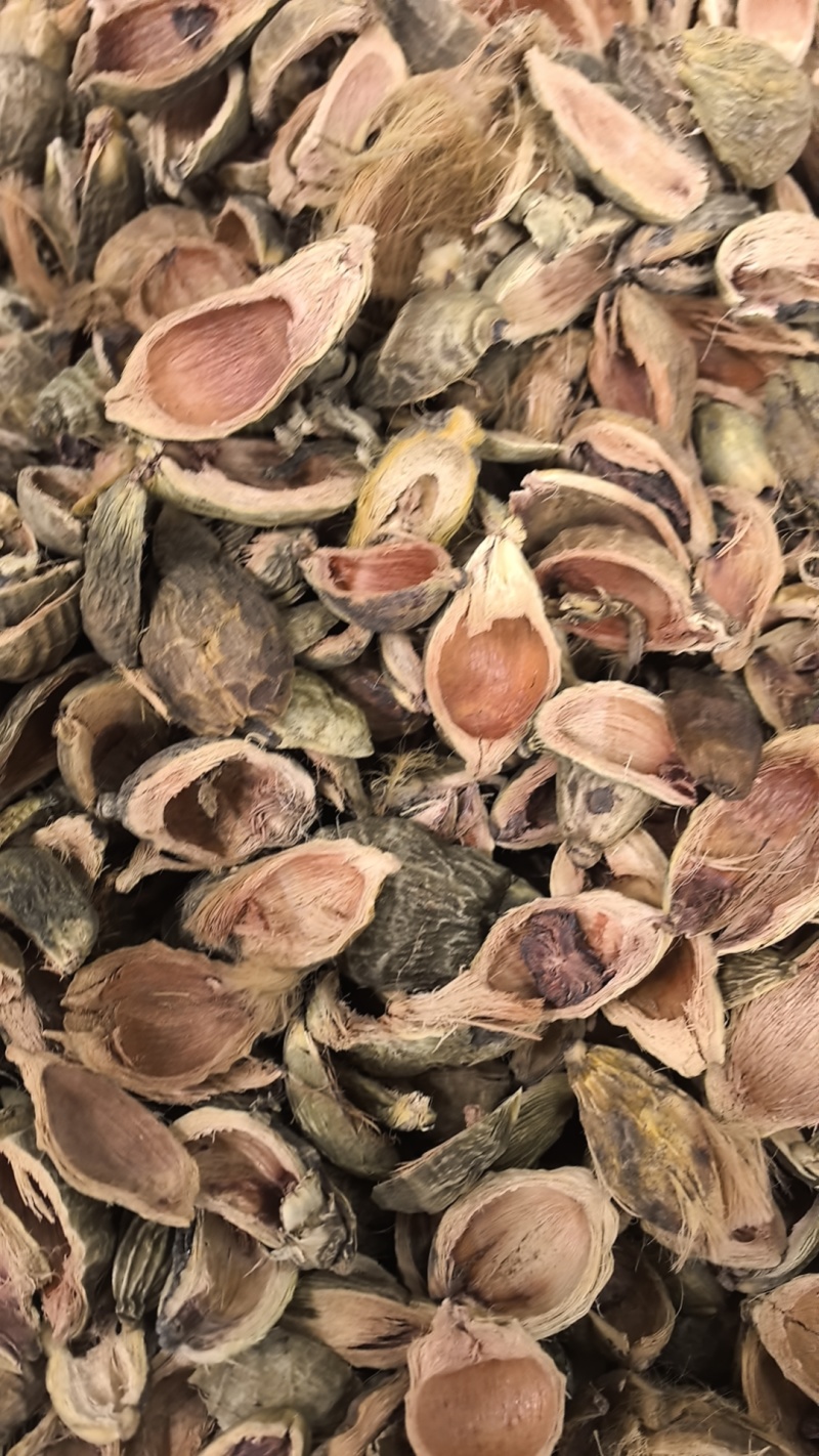 大腹皮选装货槟榔皮干新货大腹毛茯毛规格很多价格不同