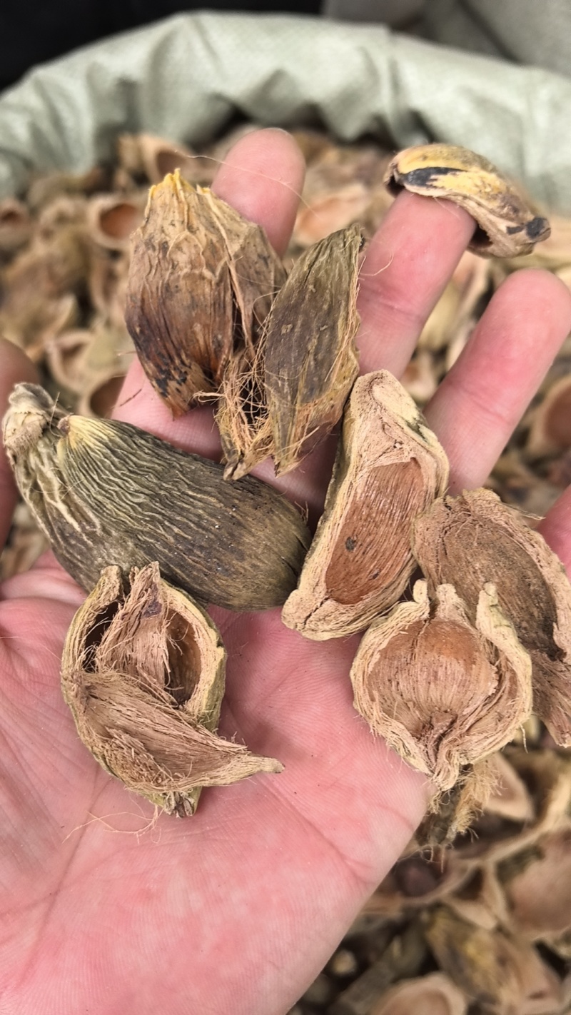 大腹皮选装货槟榔皮干新货大腹毛茯毛规格很多价格不同