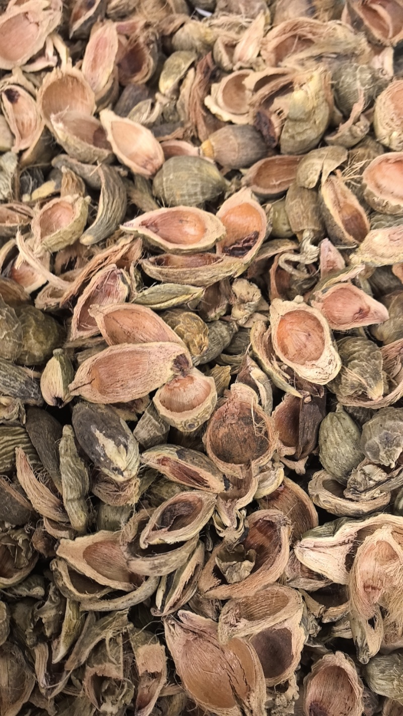 大腹皮选装货槟榔皮干新货大腹毛茯毛规格很多价格不同