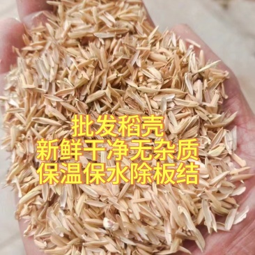 米厂稻壳批发新鲜干净无杂质