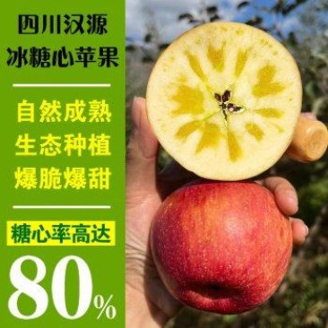 四川汉源冰糖心红富士苹果一手资源产地直发