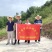 湖北连翘育苗种植基地现挖先发，一手货源视频看货包技术指导