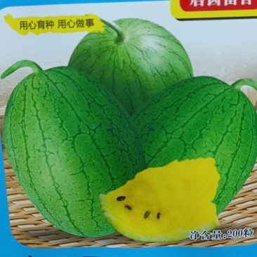 经典黄肉小果西瓜