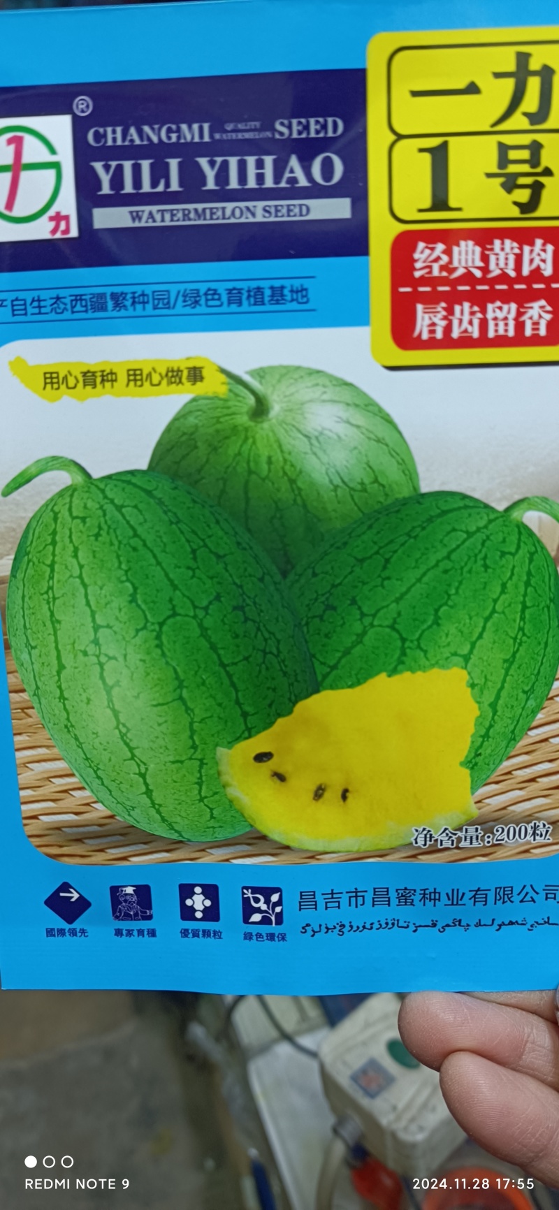 经典黄肉小果西瓜