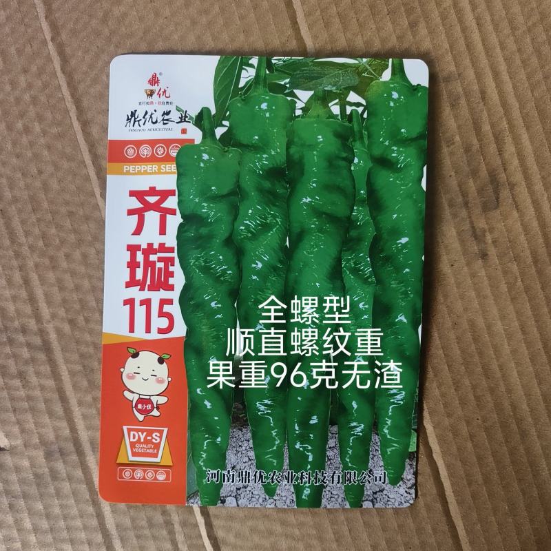 齐璇115全螺丝椒螺纹重顺有果量大上部果不变短亩产2万斤