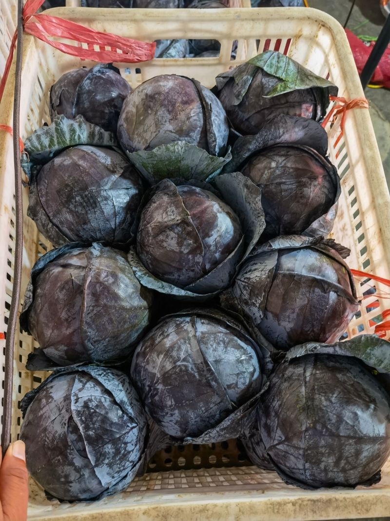 优质紫甘蓝河北紫包菜商超电商配货净菜加工代发全国市场