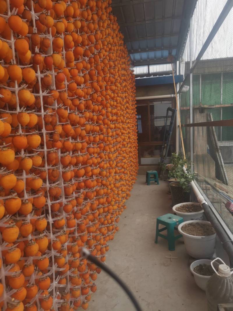富平农家柿饼