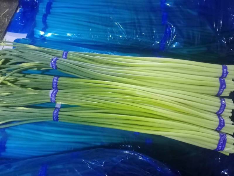 蒜薹红帽蒜薹承接商超电商加工配货货源稳定长期合作