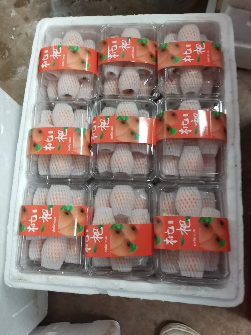 云南蒙自高山枇杷