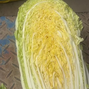 黄心大白菜300亩，保证质量，物美价廉，欢迎合作共赢！