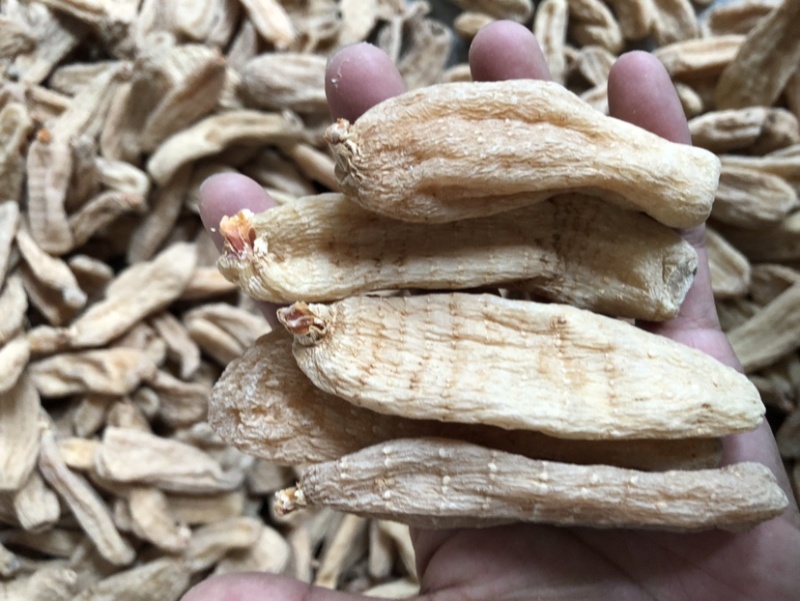 大别山天麻干货，湖北天麻足干无硫天麻批发非云南昭通天麻