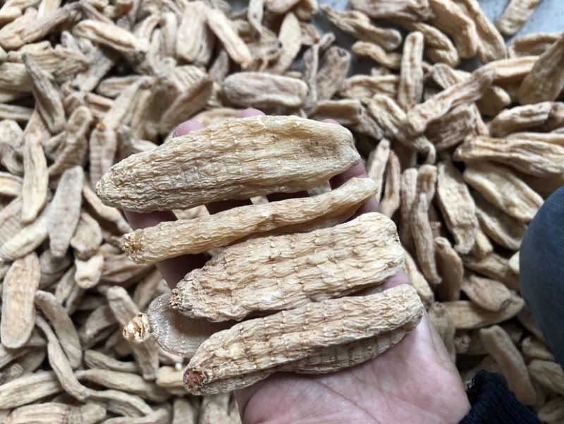 大别山天麻干货，湖北天麻足干无硫天麻批发非云南昭通天麻