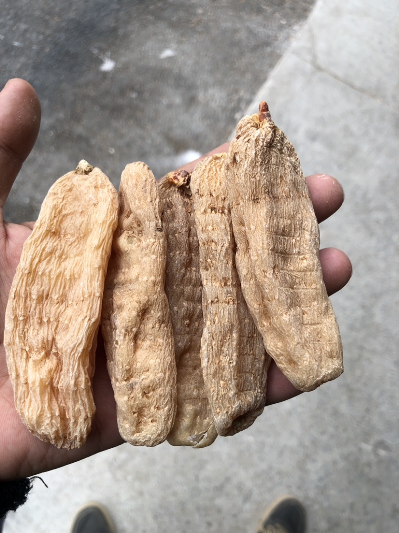 大别山天麻干货，湖北天麻足干无硫天麻批发非云南昭通天麻