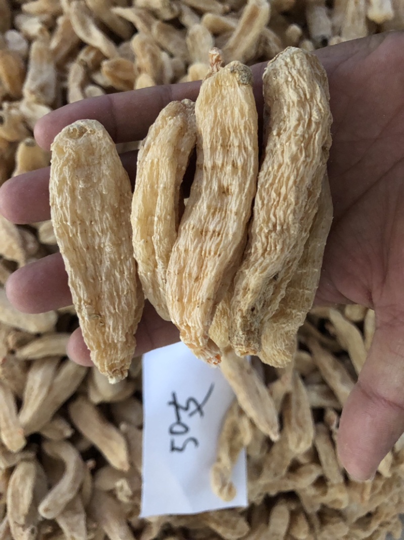 大别山天麻干货，湖北天麻足干无硫天麻批发非云南昭通天麻