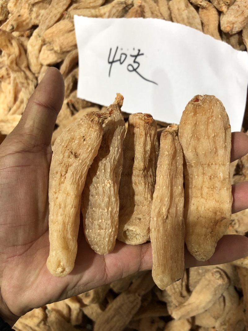 大别山天麻干货，湖北天麻足干无硫天麻批发非云南昭通天麻