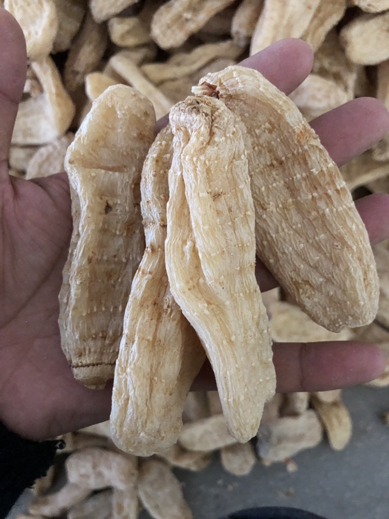 大别山天麻干货，湖北天麻足干无硫天麻批发非云南昭通天麻