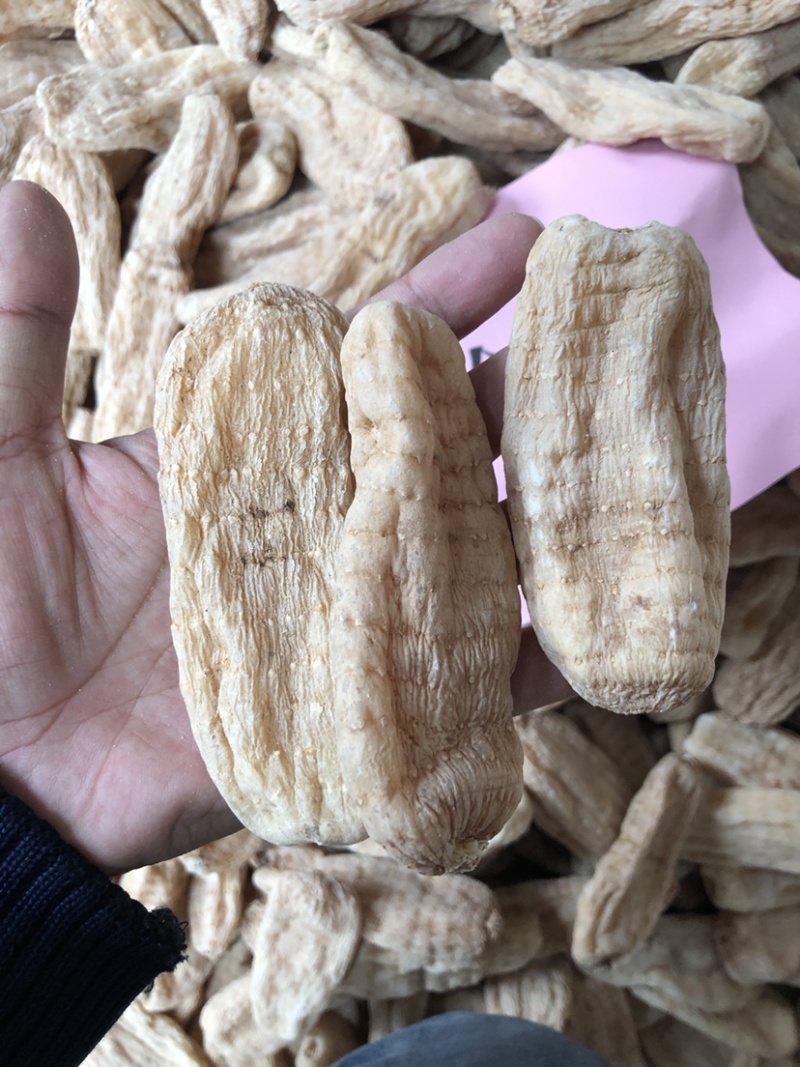 大别山天麻干货，湖北天麻足干无硫天麻批发非云南昭通天麻