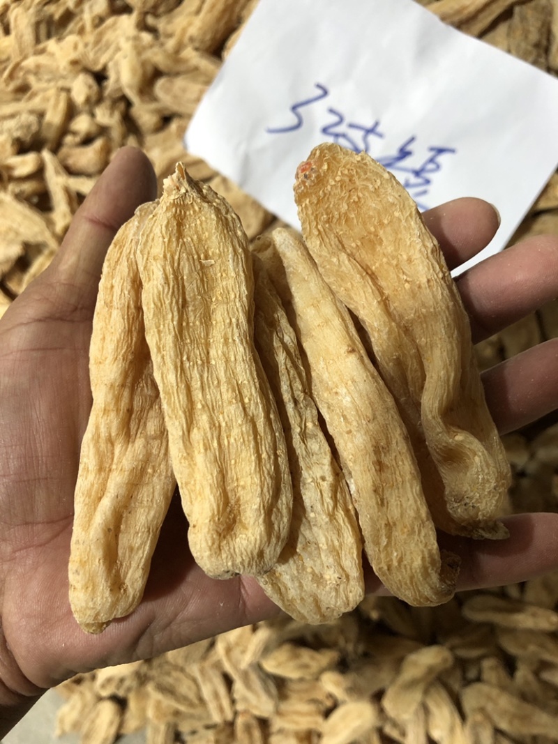 大别山天麻干货，湖北天麻足干无硫天麻批发非云南昭通天麻