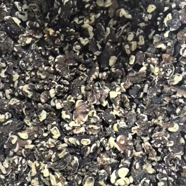 核桃仁榨油料供应