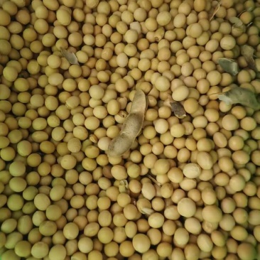 粮油