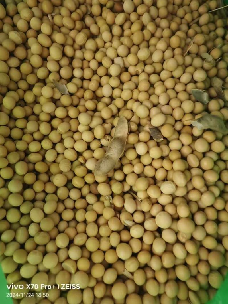 粮油