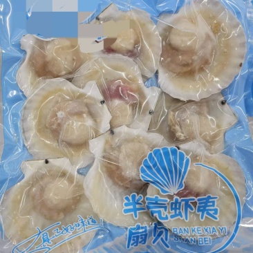 半壳贝半壳虾夷贝