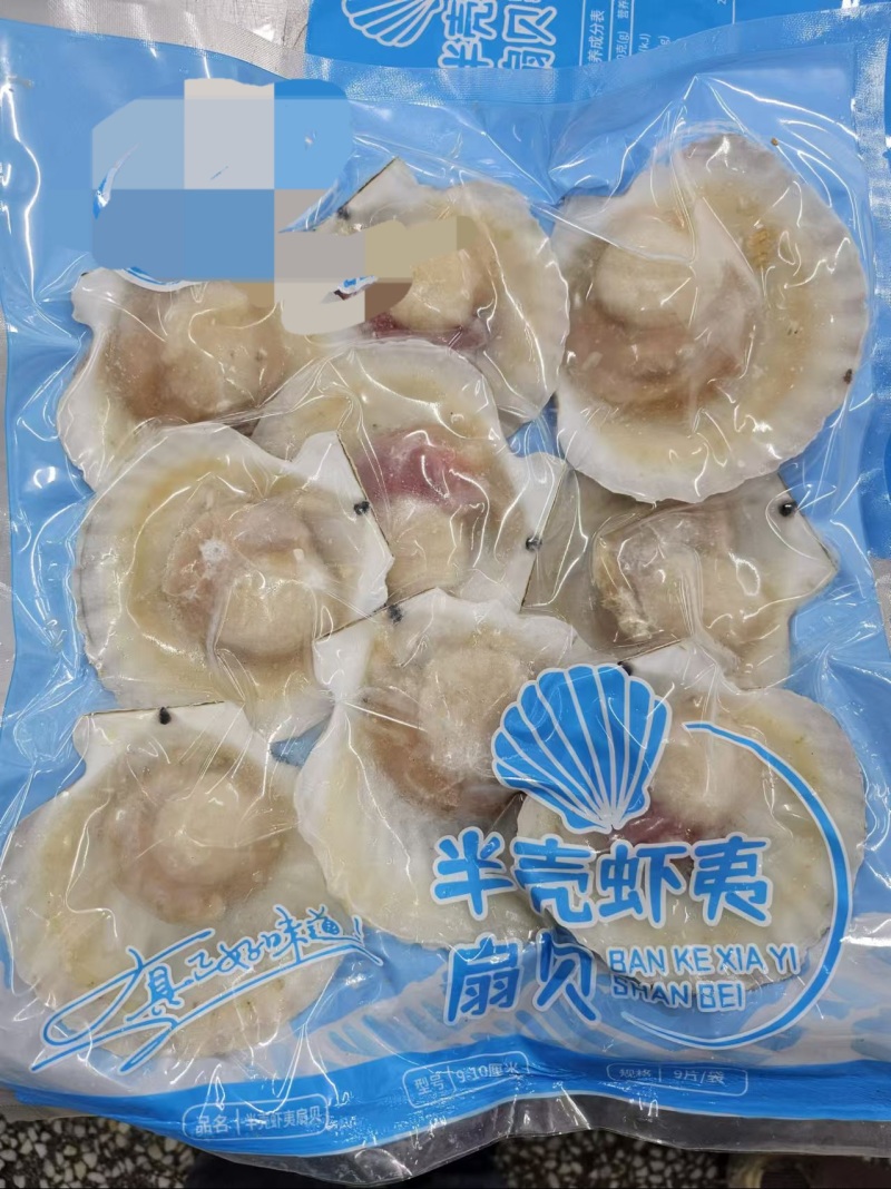 半壳贝半壳虾夷贝