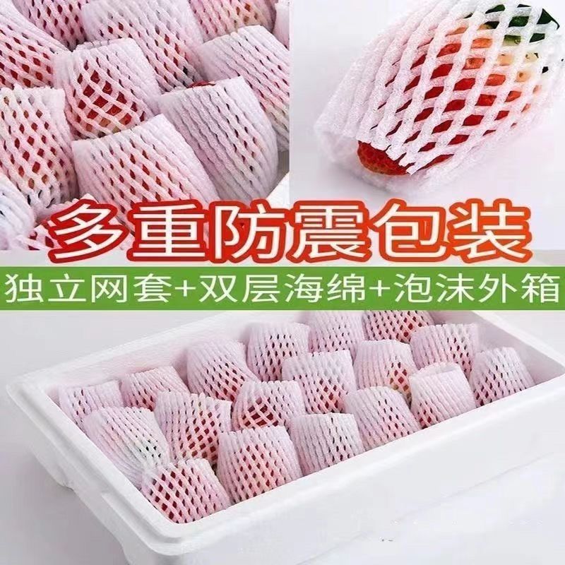 商丘天仙醉草莓产地直供，代收代办代发全国一件包邮