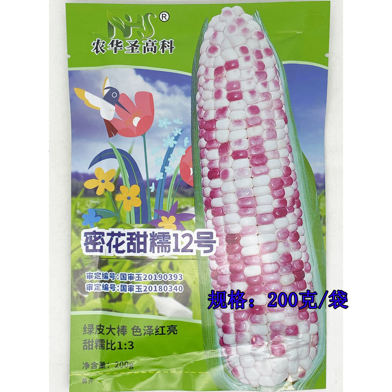 密花甜糯12号彩甜糯玉米种子绿皮大棒非转花玉米种子原装
