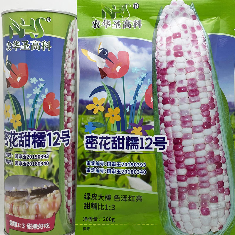 密花甜糯12号彩甜糯玉米种子绿皮大棒非转花玉米种子原装