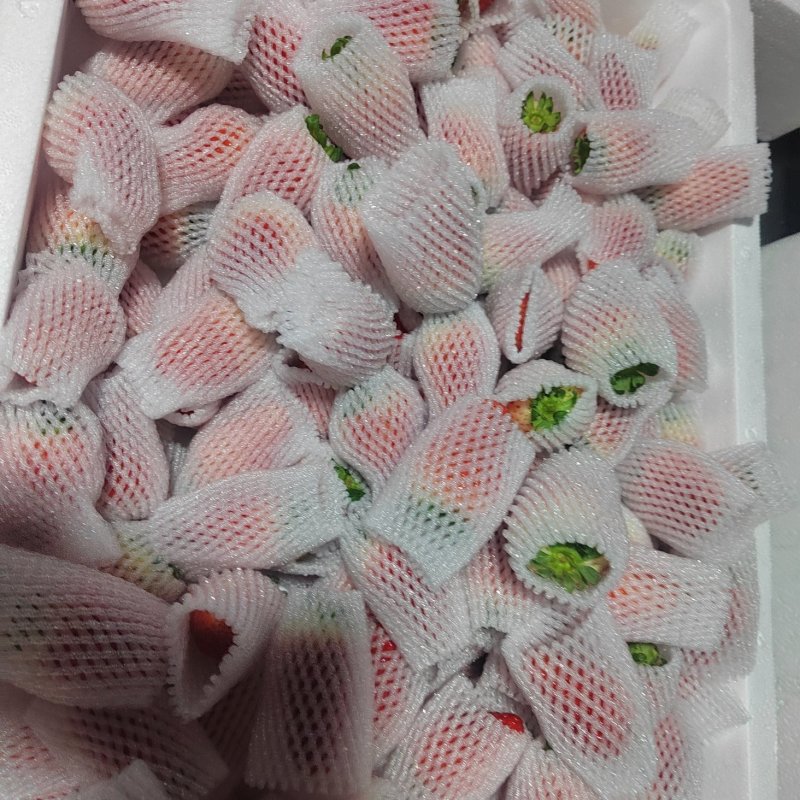 商丘天仙醉草莓万亩基地代收代办代发全国一件包邮