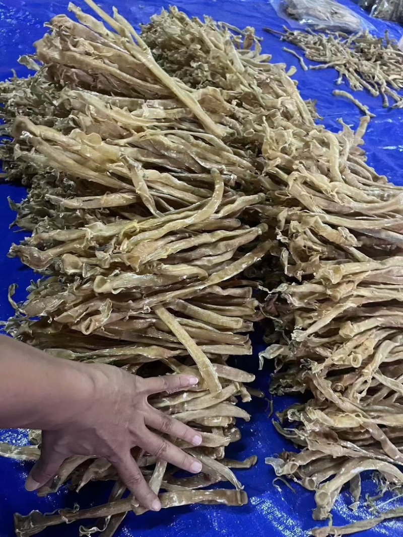 野生沙虫干